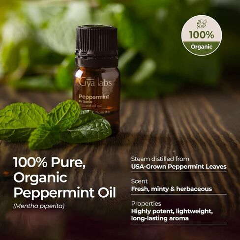 رول زيت الجريب فروت العطري من Gya Labs - رائحة حلوة وحمضية (0.34 أونصة سائلة) in Kuwait