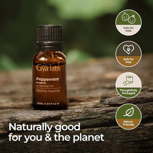 رول زيت الجريب فروت العطري من Gya Labs - رائحة حلوة وحمضية (0.34 أونصة سائلة) in Kuwait