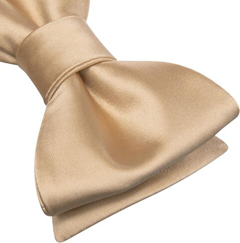 Dubulle الذاتي التعادل القوس العلاقات ودبوس التلبيب للرجال بيزلي الصلبة رجل ربطة العنق ومنديل أزرار أكمام مجموعة الزفاف in Kuwait