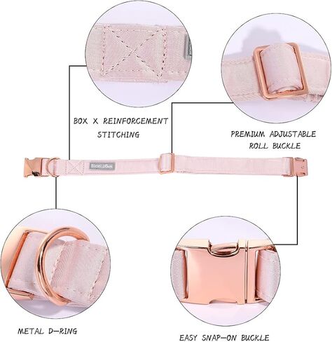 Lionet Paws Silk Dog Collar and Leash Set, Adjustable Comfortable White Dog Collar with Metal Buckle for Small Medium Large Dog Boy Girl Gift, Neck 8-12 Inches in Saudi Arabia