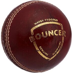 SG Bouncer Leather Ball Adult