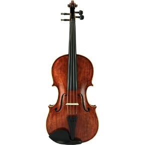 D'Luca PD02-16 16-Inch Orchestral Series Handmade Viola Outfit