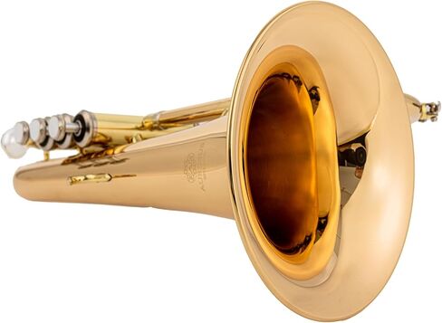 AUROSUS Flugelhorns FH 501G قوس جرس نحاسي ذهبي لمسة نهائية شديدة اللمعان حافة جرس معززة بالأسلاك 7C قطعة فم. in Kuwait