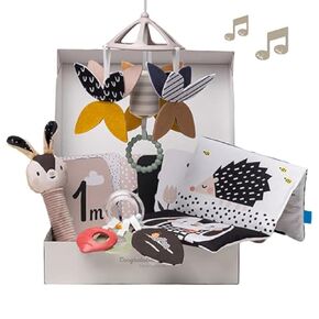 Taf Toys Black and White Newborn Kit - 10 Black and White Baby Toys, High Contrast Baby Toys for Newborn, Baby Essentials Must Haves, Tummy Time Toys for Motor Skills Infants Babies 0 3 6 Months