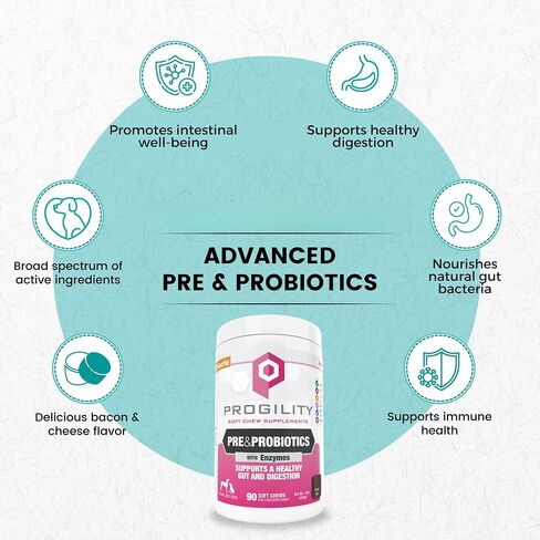 Nootie Progility Mini Pre & Probiotic Supplement, Digestive Aid Supplement for Dogs, 60 Soft Chews per Container in Kuwait
