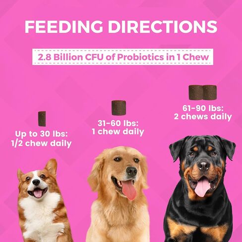 Nootie Progility Mini Pre & Probiotic Supplement, Digestive Aid Supplement for Dogs, 60 Soft Chews per Container in Kuwait