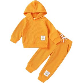 Baby Girl Clothes Toddler Fall Winter Outfits Sweatshirt pants Sweatsuits for Infant Girl Baby Girl Clothing in Kuwait