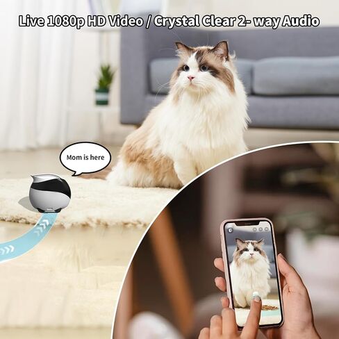 Rocon Ebo AIR Pet Robot Camera, 2 Way Talk, Night Vision, App Remote Control, Indoor Security Camera, Movable Cam for Dog/Cat/Baby, SD Card in Saudi Arabia