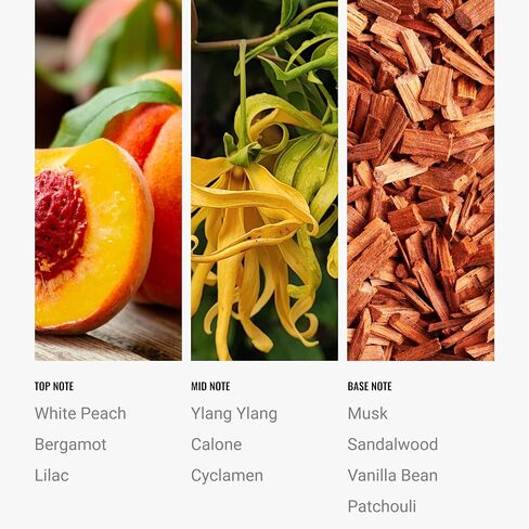 | Botanical Garden Pro-Pod Oil Blend | Luxury Hotel Inspired Aromatherapy Scent Diffuser Oil | Green Leaves, White Ginger and Vanilla 1.7 fl oz 50 mL in Saudi Arabia