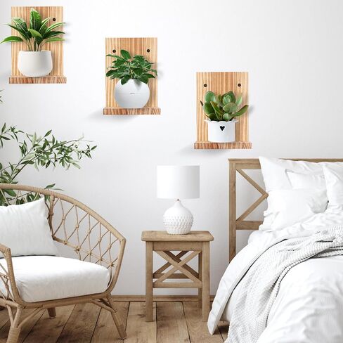PHOENANCEE Small Wall Shelves,Mini Floating Shelf Set of 4,Plants Hanging Storage Display Ledges Wooden Decor Indoor for Living Room Bedroom Bathroom Kitchen Office Decoration(Rustic Walnut) in Kuwait