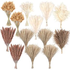 610 PCS Dried Pampas Grass Decor, Dried Flower Bouquets for Wedding, Home, Centerpiece Table, Modern Home, Western Living Room, Nurserie, Nursery, Boho Room, Beach, Women Office, and Boho Decor