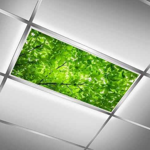 2PCS Fluorescent Light Covers for Classroom Ceiling Lights Magnetic Light Covers,Fluorescent Light Filters for School Home Office Drop Ceiling Lamp Decor Light Filters(Giraffe) in Saudi Arabia