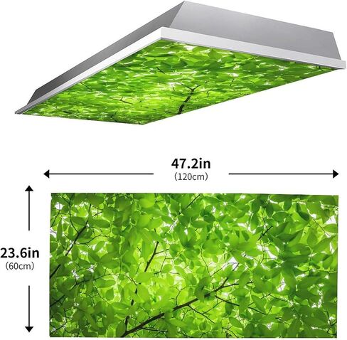 2PCS Fluorescent Light Covers for Classroom Ceiling Lights Magnetic Light Covers,Fluorescent Light Filters for School Home Office Drop Ceiling Lamp Decor Light Filters(Giraffe) in Saudi Arabia