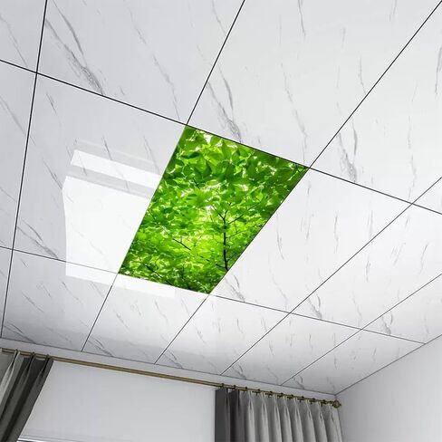2PCS Fluorescent Light Covers for Classroom Ceiling Lights Magnetic Light Covers,Fluorescent Light Filters for School Home Office Drop Ceiling Lamp Decor Light Filters(Giraffe) in Saudi Arabia
