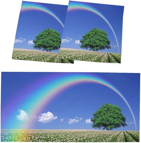 2 Pack Fluorescent Light Cover for Classroom,Tree and Rainbow Ceiling Decorative Film Filter,Eliminate Harsh Glare Causing Eyestrain and Headaches in Saudi Arabia