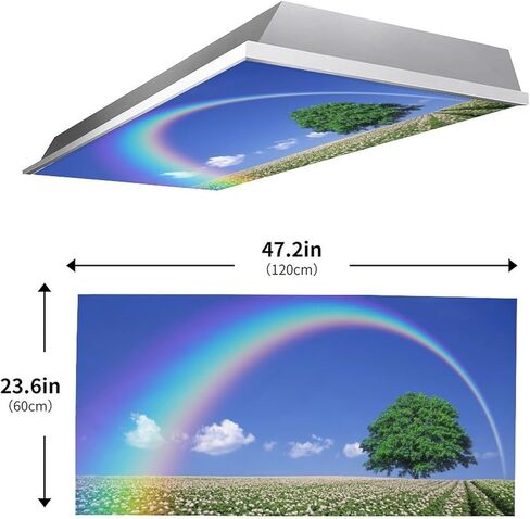 2 Pack Fluorescent Light Cover for Classroom,Tree and Rainbow Ceiling Decorative Film Filter,Eliminate Harsh Glare Causing Eyestrain and Headaches in Saudi Arabia