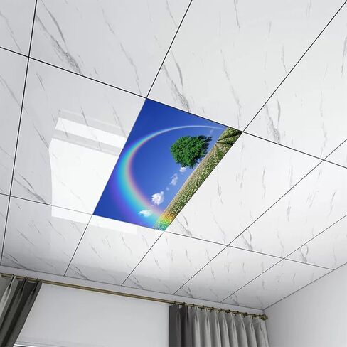2 Pack Fluorescent Light Cover for Classroom,Tree and Rainbow Ceiling Decorative Film Filter,Eliminate Harsh Glare Causing Eyestrain and Headaches in Saudi Arabia