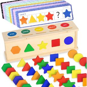 Shape Sorter Wooden Color Sorting Toys for Toddlers 1 2 3 4 Year Old Matching Shape Sorters Toys Wooden Blocks Learning Educational Toys for Boys Girls Classroom Birthday Easter Gifts