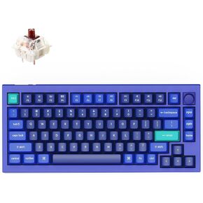 Keychron Q1 RGB Wired Custom Mechanical Keyboard Knob Version, 75% Layout QMK/VIA Programmable with Hot-swappable Gateron G Pro Blue Switch Double Gasket Compatible with Mac Windows Linux (Blue)