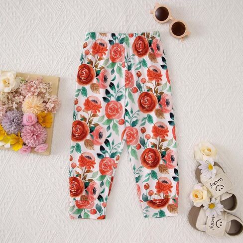 Big Sister Outfit Toddler Baby Girl Big Sis Hoodie Sweatshirt Floral Pants 2PC Sets Kids Cute Fall Winter Clothes in Kuwait