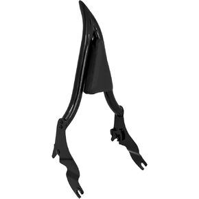 HDBUBALUS Motorcycle Sissy Bar Detachable Rear Passenger Backrest Fit for Harley Touring Road King Road Glide Street Glide 2009-2022 (16 inch, Black)