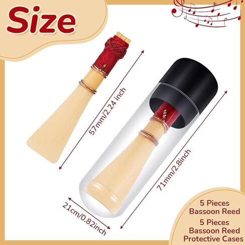 Estink 5 قطع من قصب الباسون الخيزران متوسطة الحجم من قصب الباسون، ملحقات الأدوات، 71 × 21 × 21 ملم in Kuwait