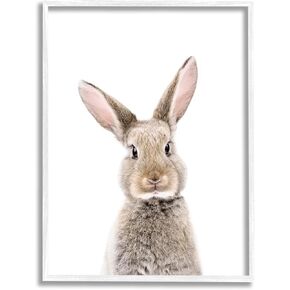 Stupell Industries Rabbit Face Portrait White Framed Giclee Art Design by Sisi and Seb