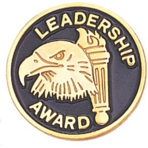 SHOP AWARDS AND GIFTS Rising Star Lapel Pins for Students Appreciation Reward School Teacher Supplies Employee Recognition, Bulk Pack of 12, Poly Bagged, 3/4 Inch