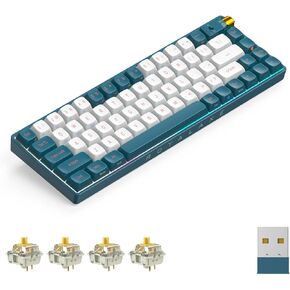R68 60% Wireless Mechanical Keyboard, Hot Swappable Custom Keyboard,Pre-lubed Gateron Pro Yellow Switches RGB Gaming Keyboard, 2.4GHz/Type-C/BT5.0 Mechanical Keyboard (White & Blue)