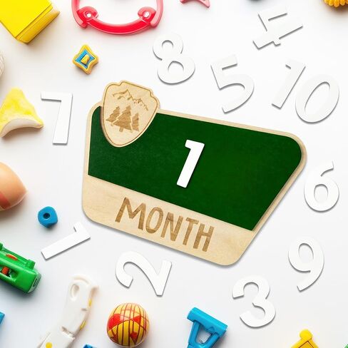 بطاقات معلم شهرية للأطفال من R HORSE، أقراص معلم شهرية خشبية للمنتزه الوطني مع بطاقات أرقام، إعلان علامات أشهر الطفل، هدايا عيد الميلاد لحديثي الولادة للأولاد والبنات in Kuwait