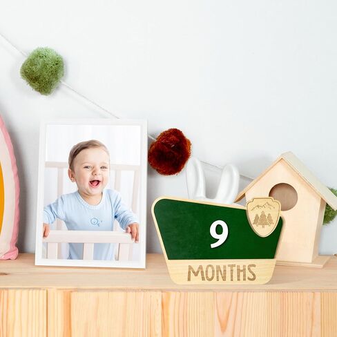 بطاقات معلم شهرية للأطفال من R HORSE، أقراص معلم شهرية خشبية للمنتزه الوطني مع بطاقات أرقام، إعلان علامات أشهر الطفل، هدايا عيد الميلاد لحديثي الولادة للأولاد والبنات in Kuwait