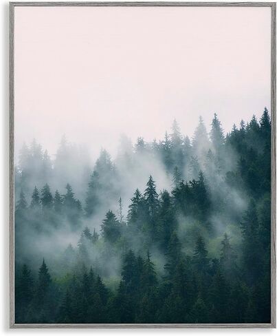 Stupell Industries Misty Forest Trees Black Framed Giclee Art Design by Sisi and Seb in Saudi Arabia