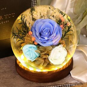 Preserved Flowers with Light, Eternal Rose as Gifts for Women Mom Grandma Girlfriend for Birthday Christmas Valentine's Day Mother's Day Anniversary Thanksgiving, Pink