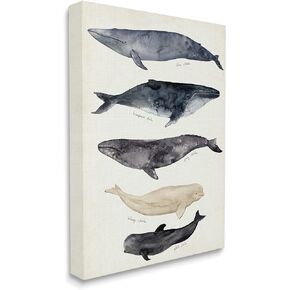 Stupell Industries Antique Whale Chart Large Vintage Nautical Animals, Designed by Victoria Barnes Canvas Wall Art, 30 x 40, Off- White