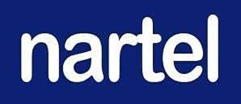 جهاز اختبار البطارية الرقمي LED من Nartel®، جهاز فحص البطارية متعدد الأحجام لبطاريات الخلايا الزرية AA AAA C D 9V 1.5V (لا يتطلب بطارية للتشغيل) in Kuwait