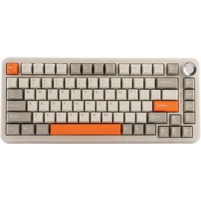 AJAZZ AK820 MAX Upgraded Gasket Mechanical Keyboard, BT5.0/USB-C/2.4GHz Wireless Gaming Keyboard, 75% Keyboard with 8000mAh Battery, Flex-Cut PCB, PC Plate, RGB for Win/Mac (Retro White)