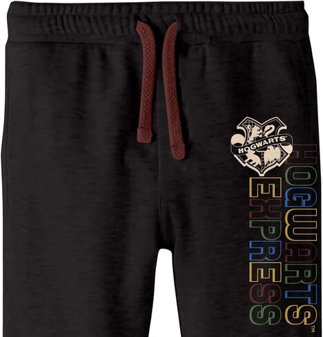 Bioworld Harry Potter Hogwarts Colors and Crest Youth Boys Zip Hoodie and Jogger Pants in Saudi Arabia