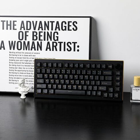 EPOMAKER Tide75 Upgraded QMK/VIA Wireless Gaming Keyboard, 75% Aluminum Mechanical Keyboard, Hot-Swap Creamy Keyboard with FR4 Plate, Bluetooth/2.4Ghz/USB-C, RGB Backlit, NKRO (Black) in Saudi Arabia