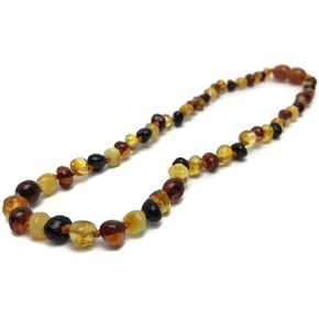 Baltic Essentials Polished Multi 12.5" Necklace