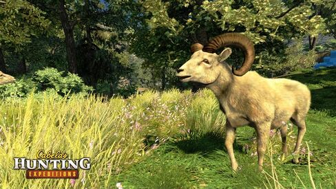 Cabela's Hunting Expeditions - Nintendo Wii (Renewed) in Saudi Arabia