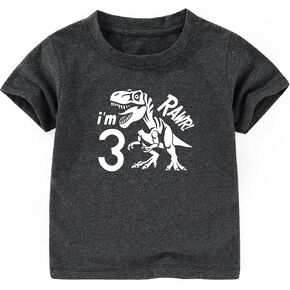 Dinosaur 3rd Birthday Shirt boy Girl Unisex Three Shirt 3 Year Old Birthday t Shirt Outfits