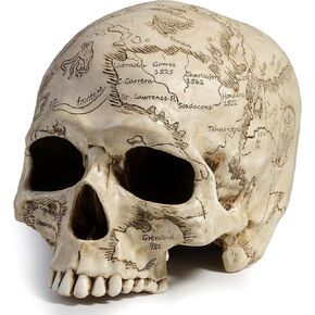 Veronese Design 5 3/8 Inch Craniumography Old Treasure Map Skull Sculpture Cold Cast Resin Bronze Finish Statue