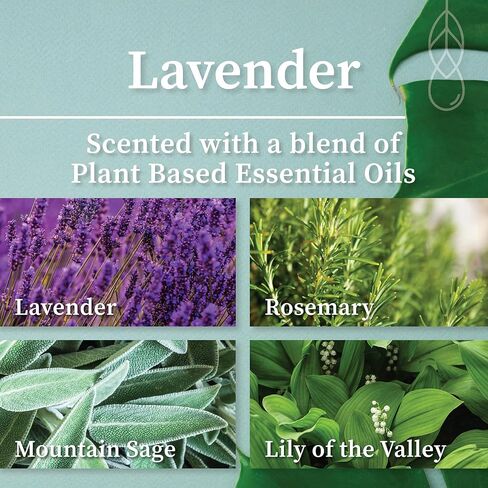 هيملوك بارك وايت سيج منظف بخاخ قابل لإعادة التعبئة | بديل التلطخ الذي لا يدخن (عبوة 16 أونصة، بالو سانتو + المريمية البيضاء) in Kuwait