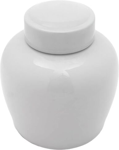 Red Lantern 10" Ladies Blue & White Porcelain Ginger Jar in Kuwait