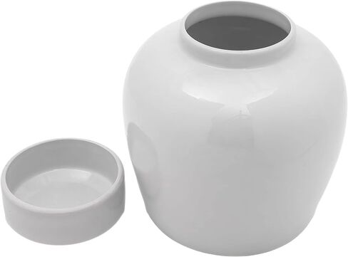 Red Lantern 10" Ladies Blue & White Porcelain Ginger Jar in Kuwait