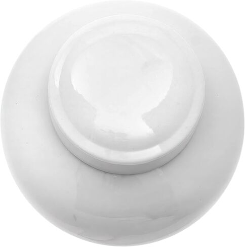 Red Lantern 10" Ladies Blue & White Porcelain Ginger Jar in Kuwait