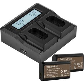 2 Pack DMW-BLJ31 Battery and Dual Charger Kit (7.4V, 3500mAh)
