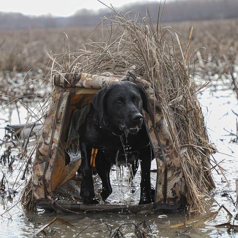 Momarsh Invisi Lab Dog Blind Snow Cover in Saudi Arabia