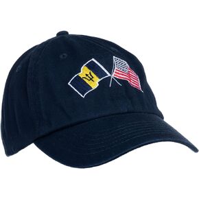 Ann Arbor T-shirt Co. American Friendship Nations Flag Baseball Low Profile Dad Hat for Men Women