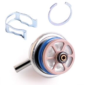 Fuel Injection Pressure Regulator 1996-2005 PR217 PR203 Compatible with GM Buick Cadillac Chevrolet GMC Honda Hummer Isuzu Oldsmobile Pontiac PR155/12574986/17113536/17113678/19245530/5G1404/2173074